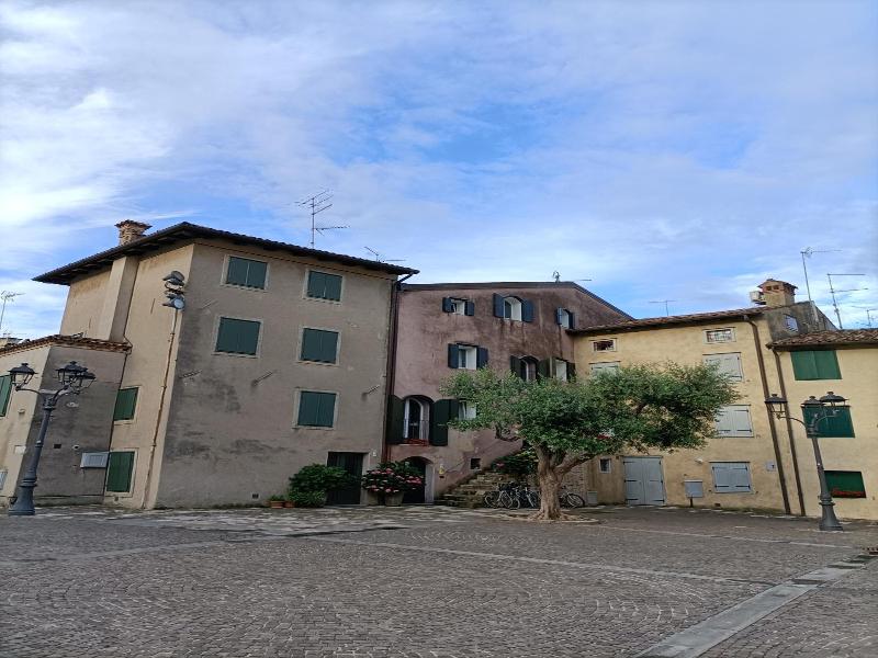 Ai Pini image