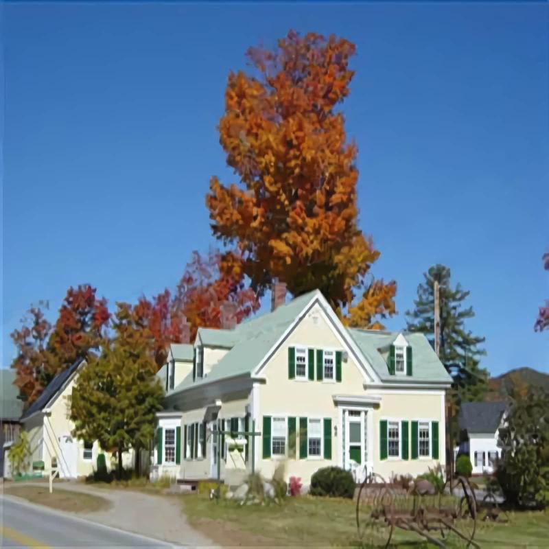 The Sunny Grange B&B image