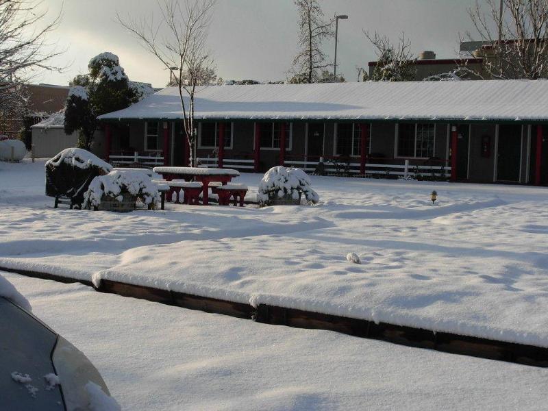Jumping Frog Motel image