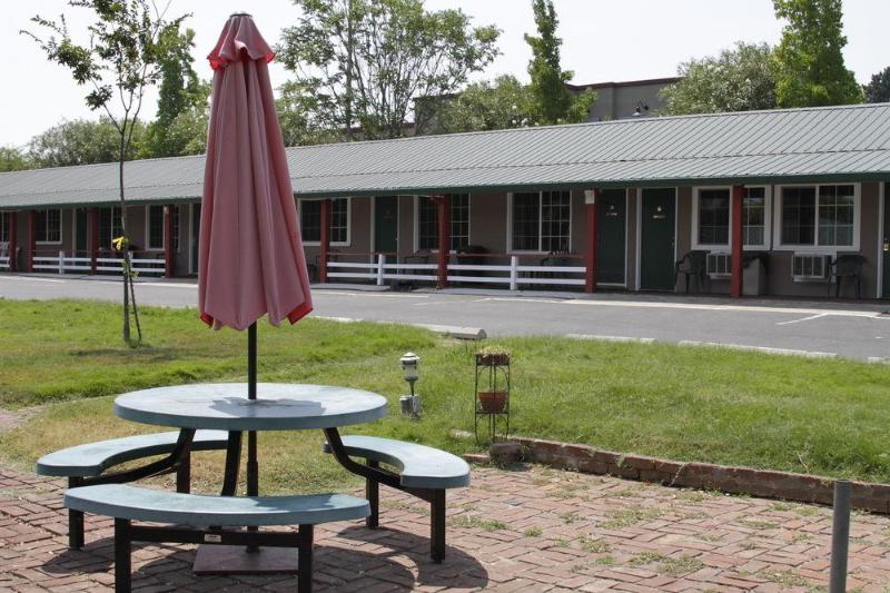 Jumping Frog Motel image
