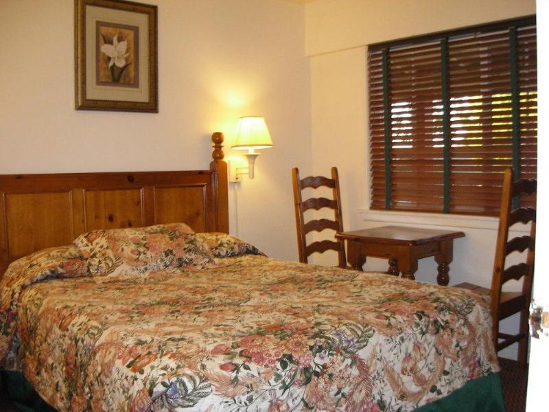 Jumping Frog Motel image