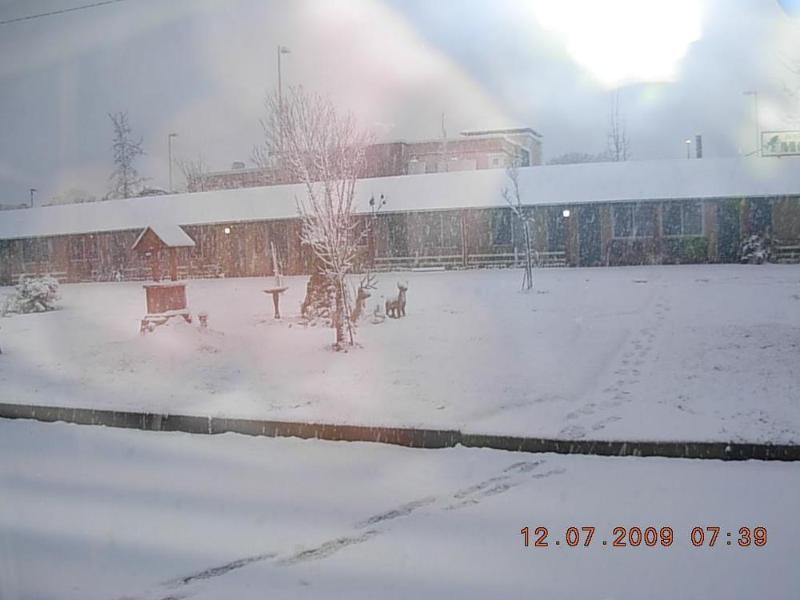 Jumping Frog Motel image