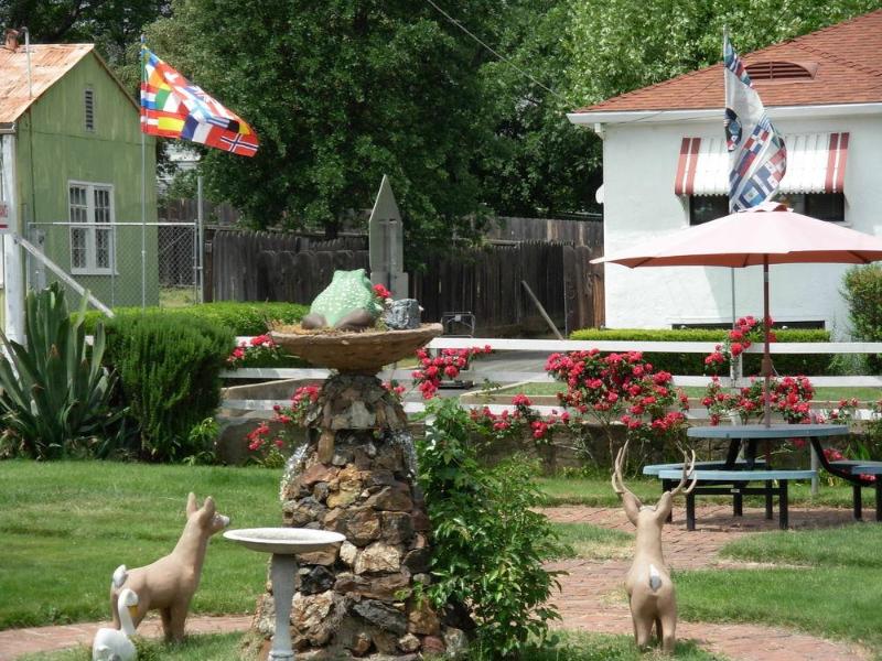Jumping Frog Motel image