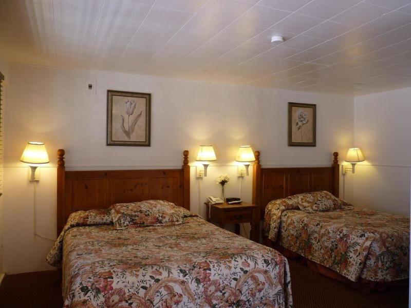 Jumping Frog Motel image