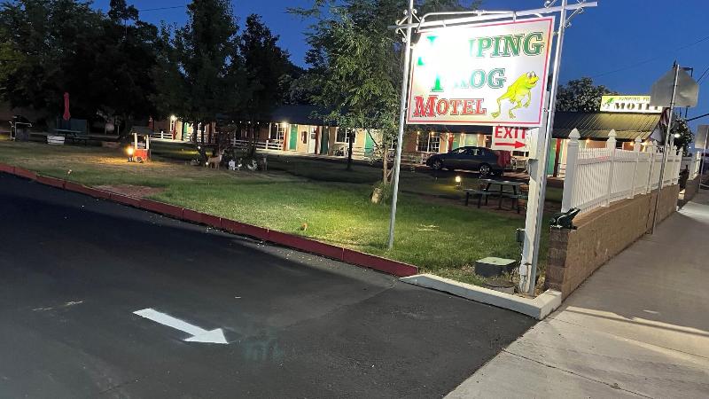 Jumping Frog Motel image