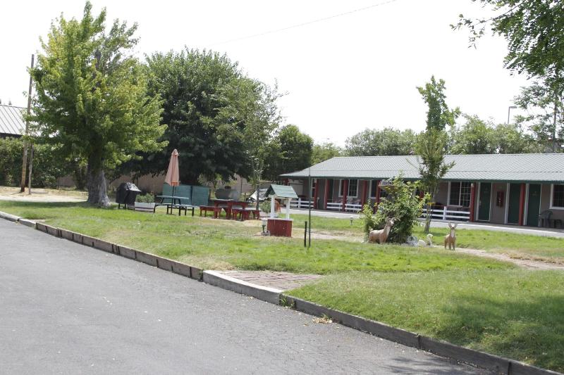 Jumping Frog Motel image