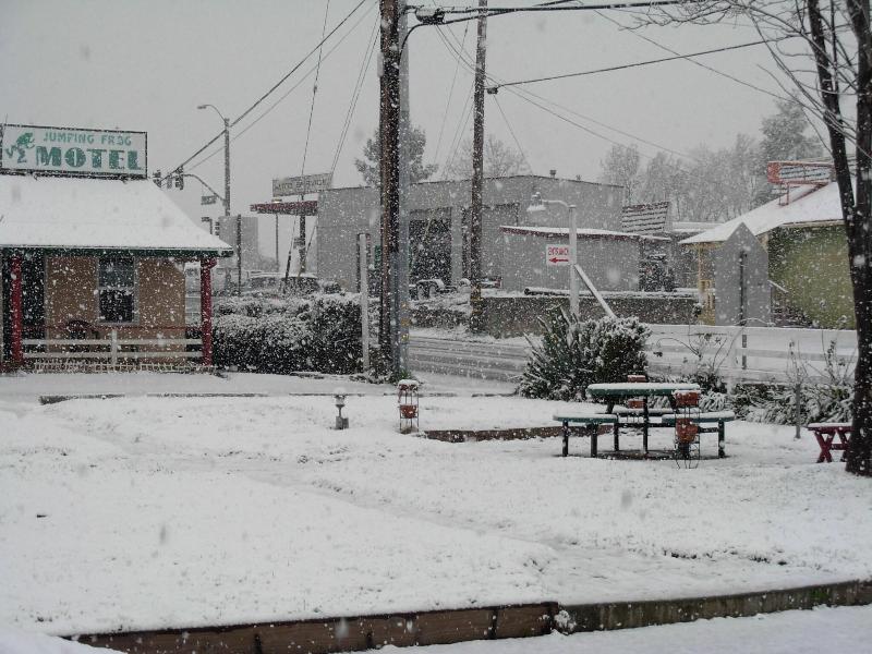 Jumping Frog Motel image