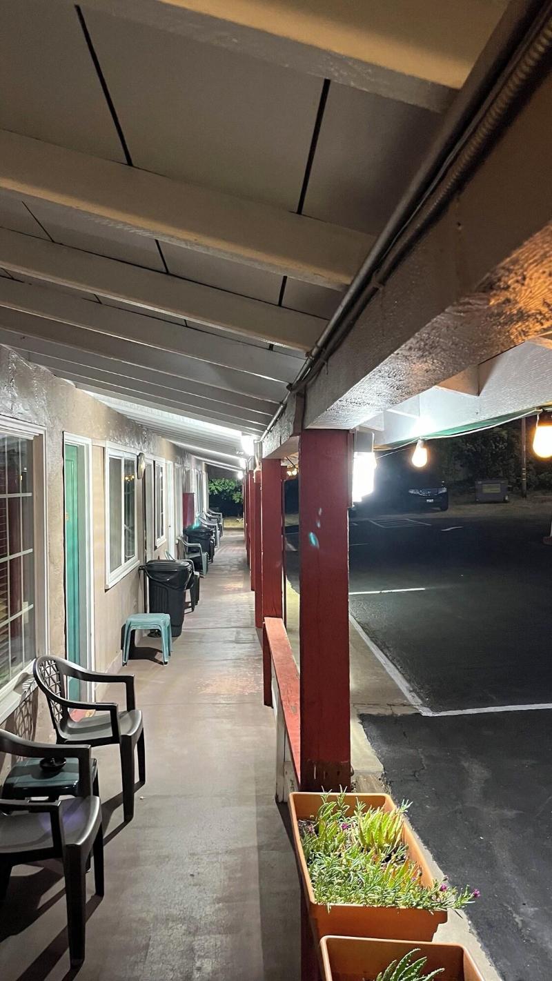 Jumping Frog Motel image