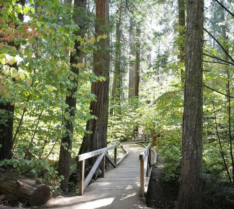 Mountain Retreat Resort image
