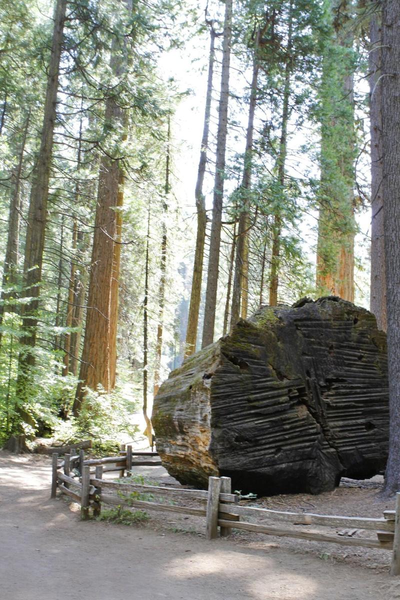 Mountain Retreat Resort image