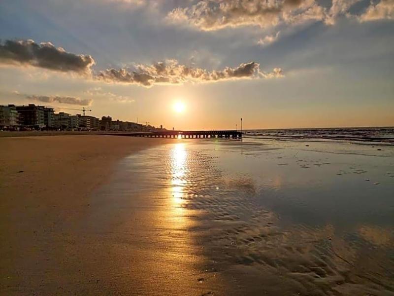 Palm Beach image