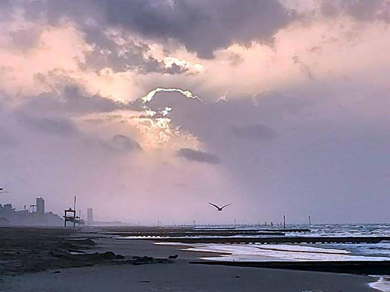 Palm Beach image