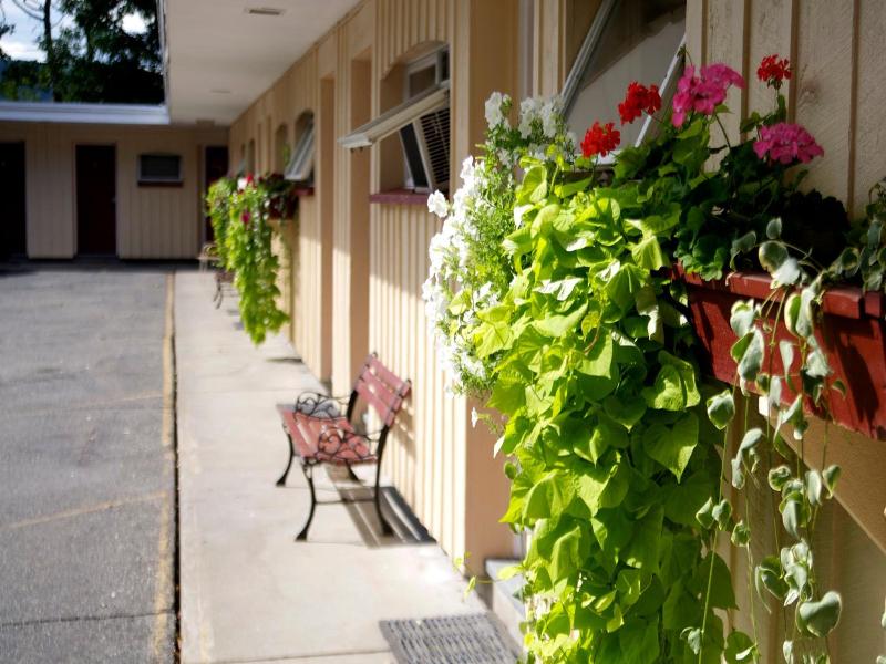 Sunset Motor Inn image