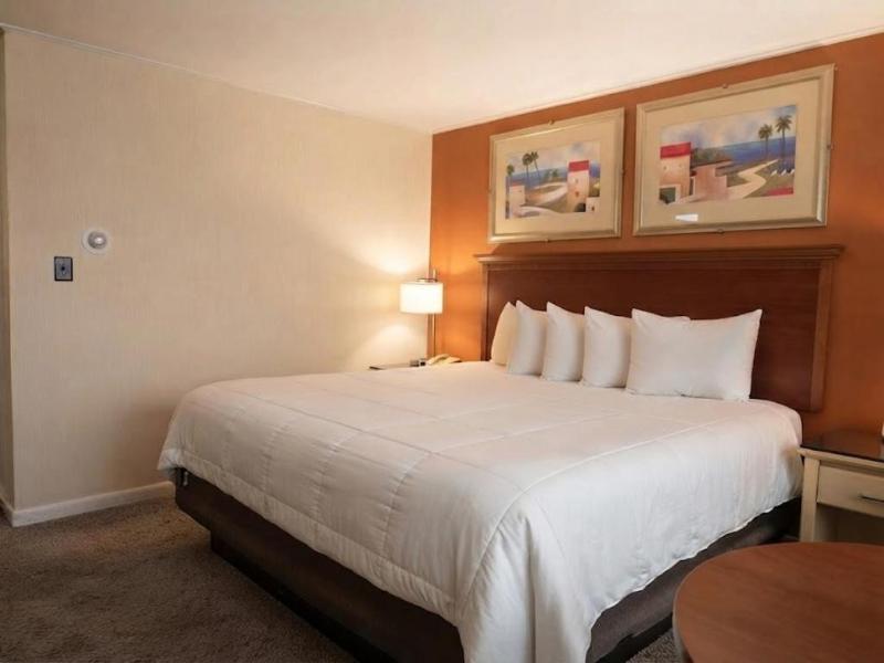 Sunset Motor Inn image