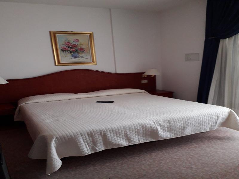 Hotel Beny image