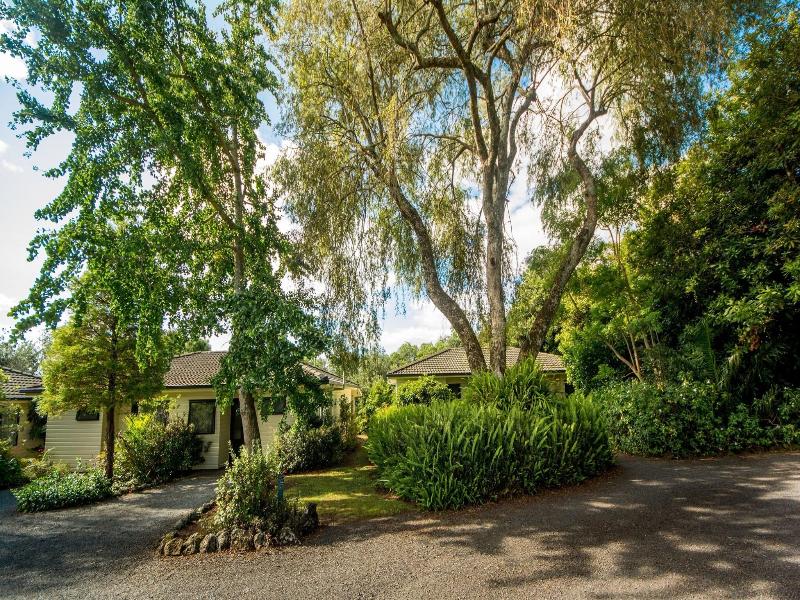 Kauri Park Motel image
