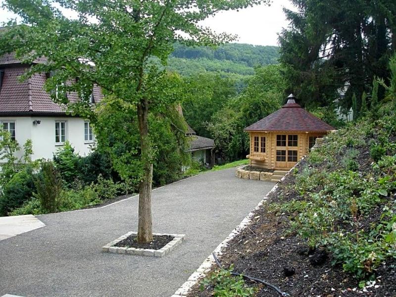 Schloß Döttingen image