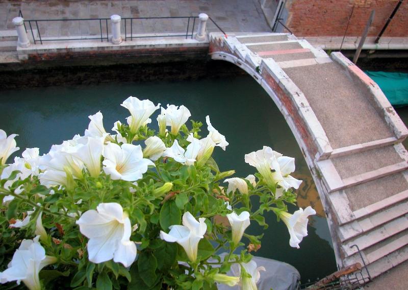 3749 Ponte Chiodo Guest House image