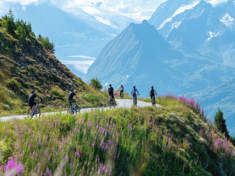 W Verbier image