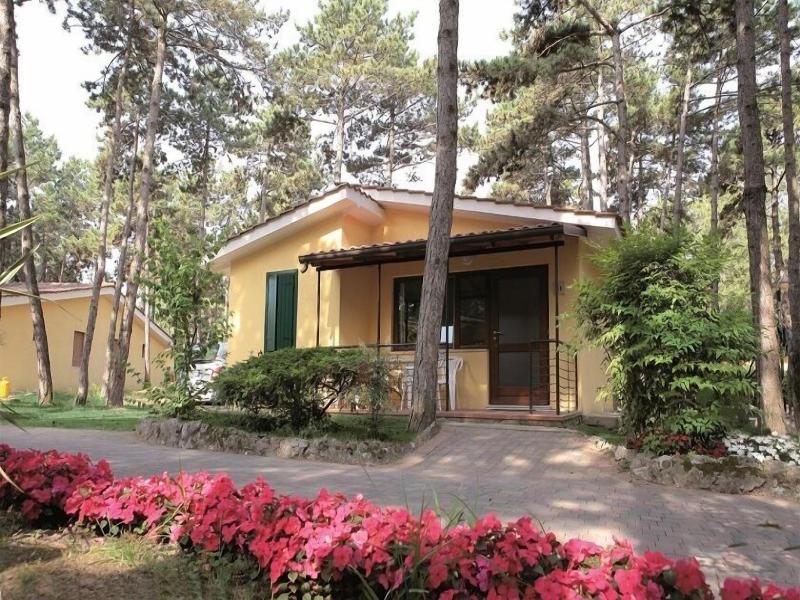 Camping Villaggio Touristico Internazionale image