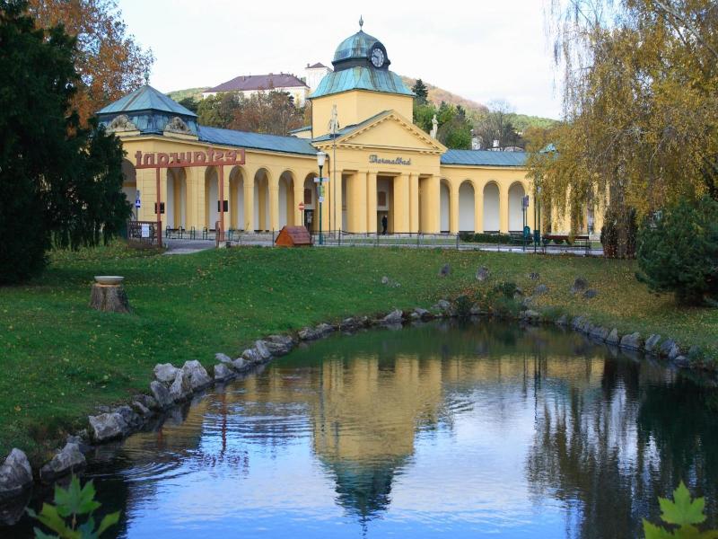 College Garden Hotel image