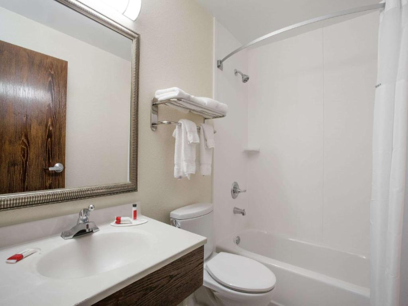 Super 8 by Wyndham College Park Wash DC Area image