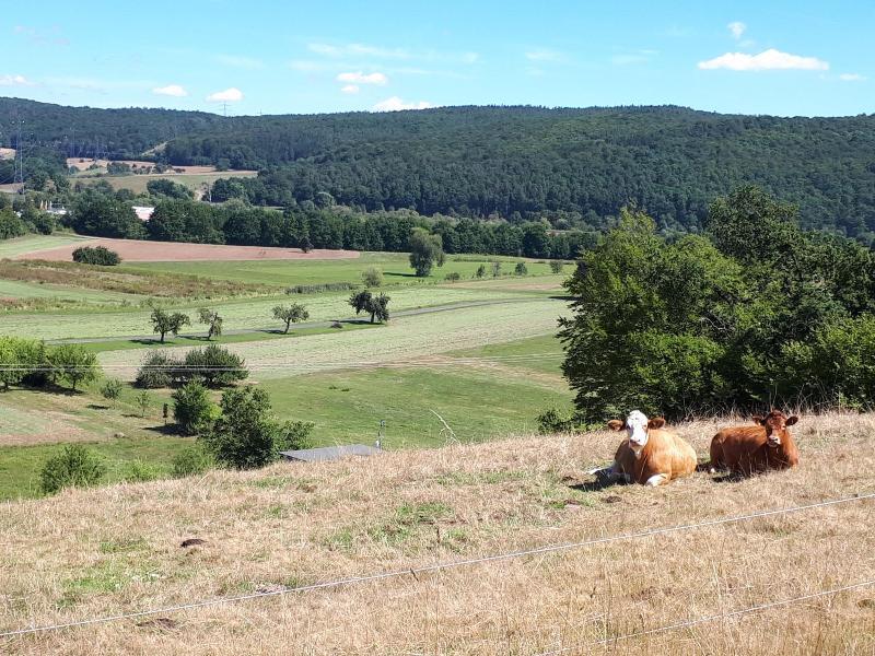Spessarttor image