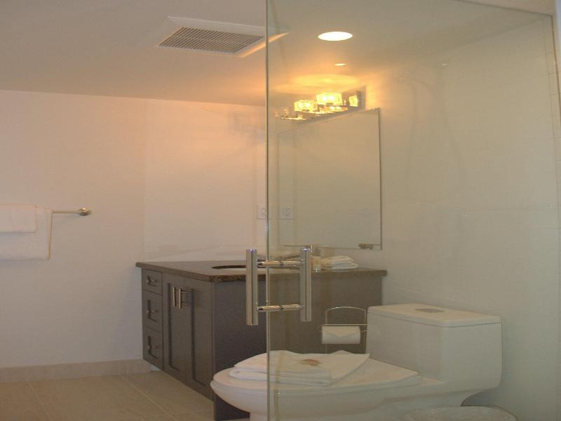 Le Chamois Hotel Whistler image