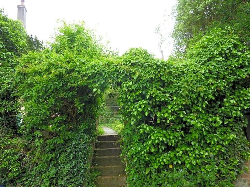 Chequers image