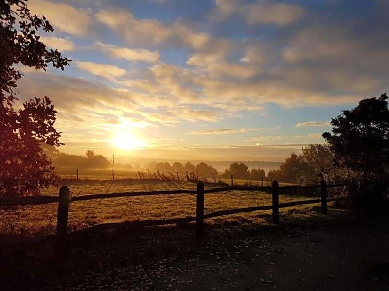 Chequers image
