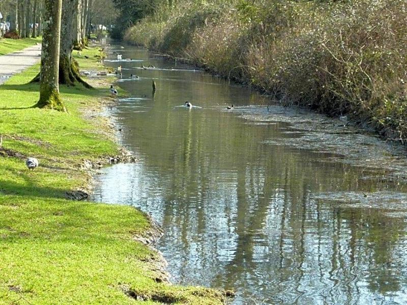 Chequers image