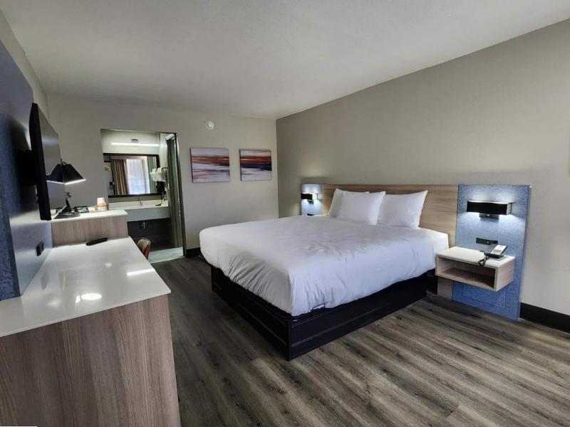 DOUBLE KING BED NON SMOKING — photo 4