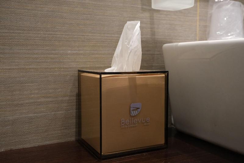 Bellevue image