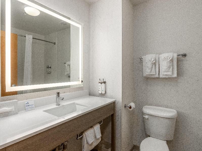 Holiday Inn Express Hotel & Suites Vancouver Mall image