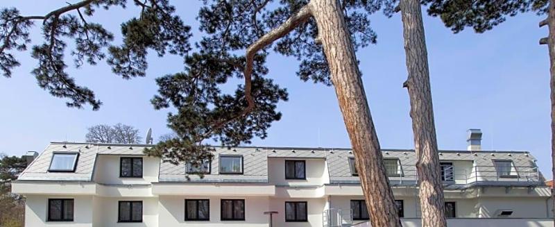 Springer Schlößl image