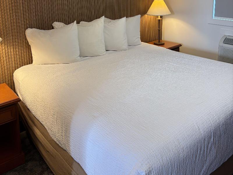Travelodge By Wyndham Langley image