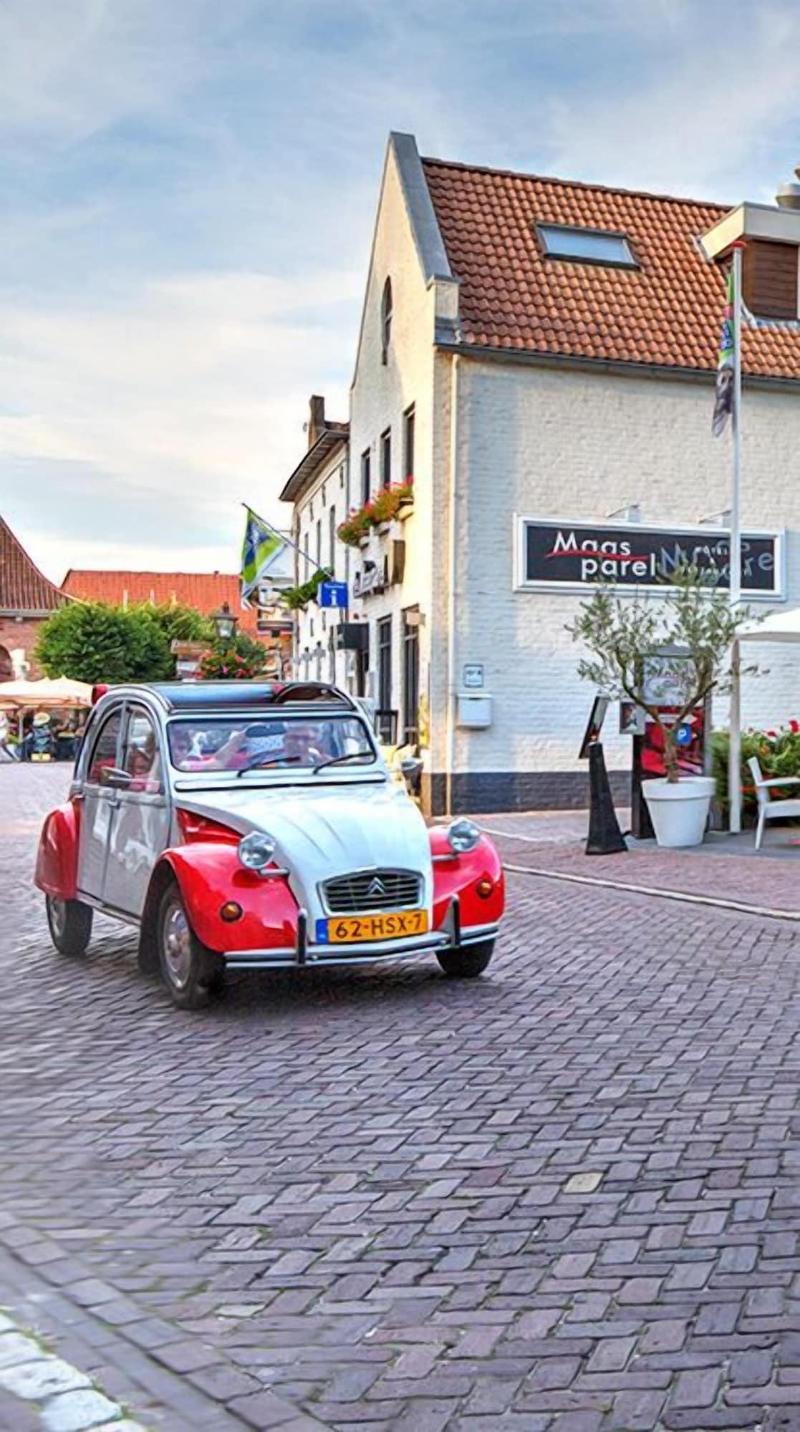 De Maasparel image