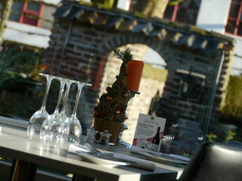 De Maasparel image