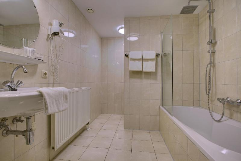 De Maasparel image