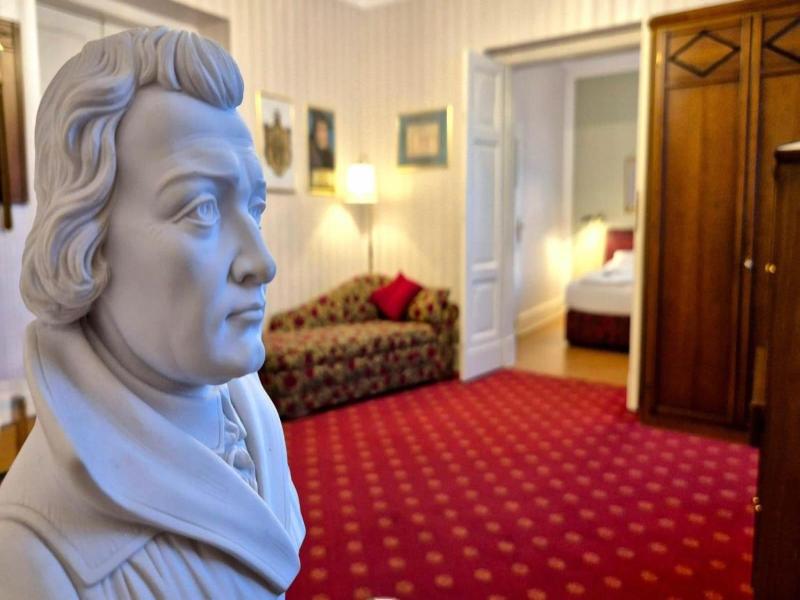 VCH-Hotel Amalienhof image
