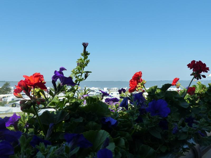 Strand-Hotel image