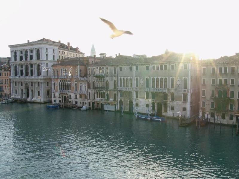 Ca' Angeli image