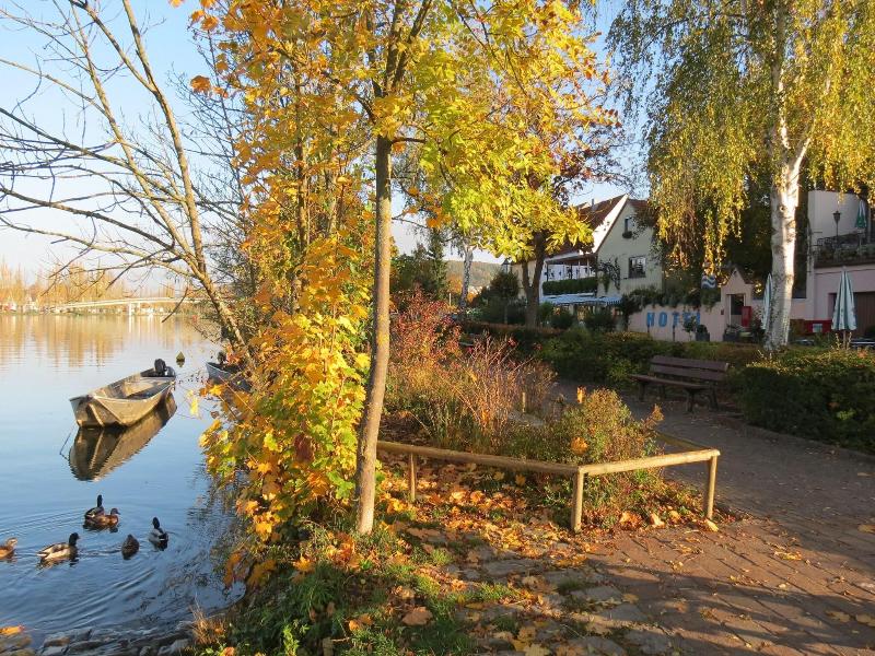 Am Main image