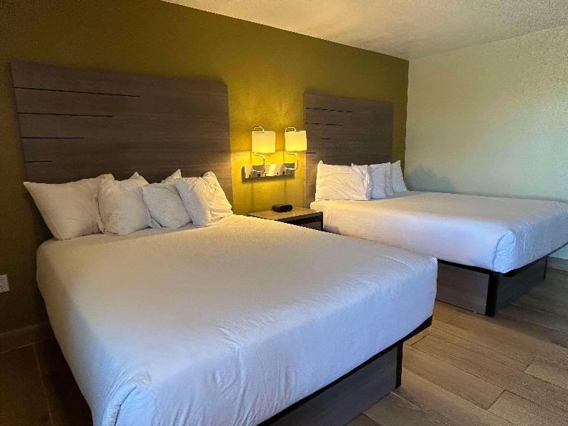 SureStay by BestWestern Chambers Petrified Forest image
