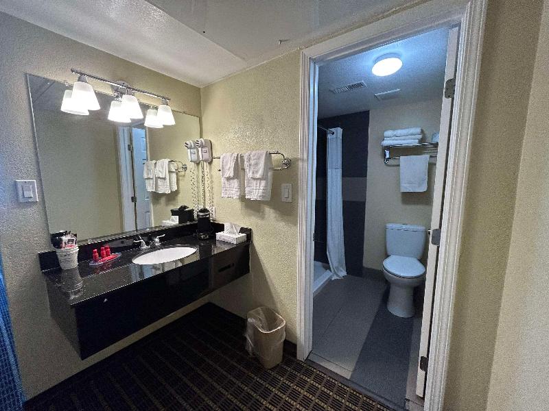 SureStay by BestWestern Chambers Petrified Forest image