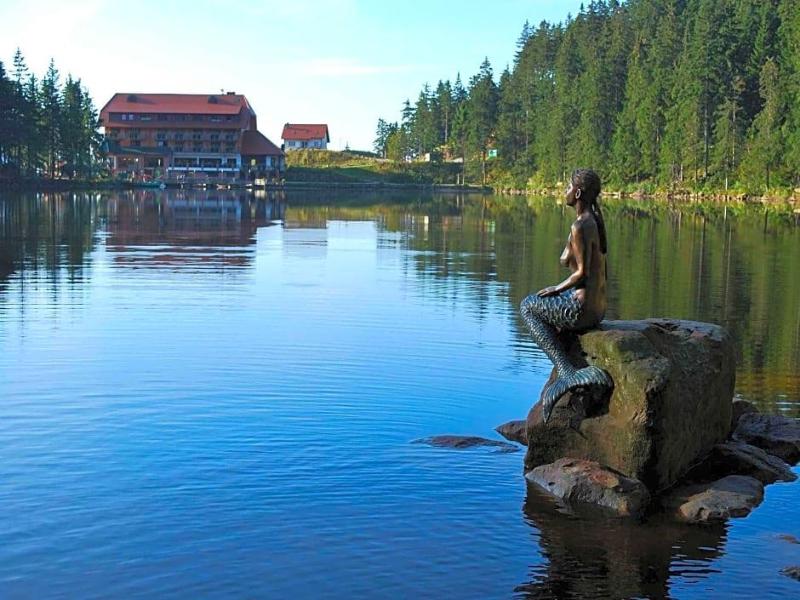 Berghotel Mummelsee image