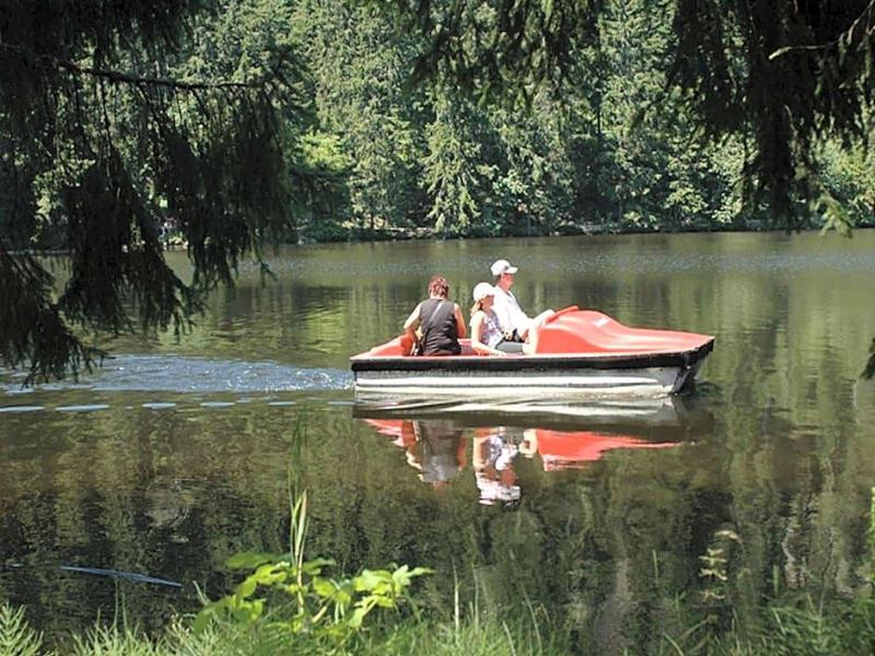 Berghotel Mummelsee image