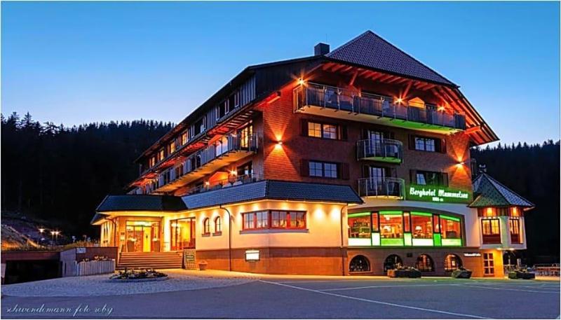 Berghotel Mummelsee image