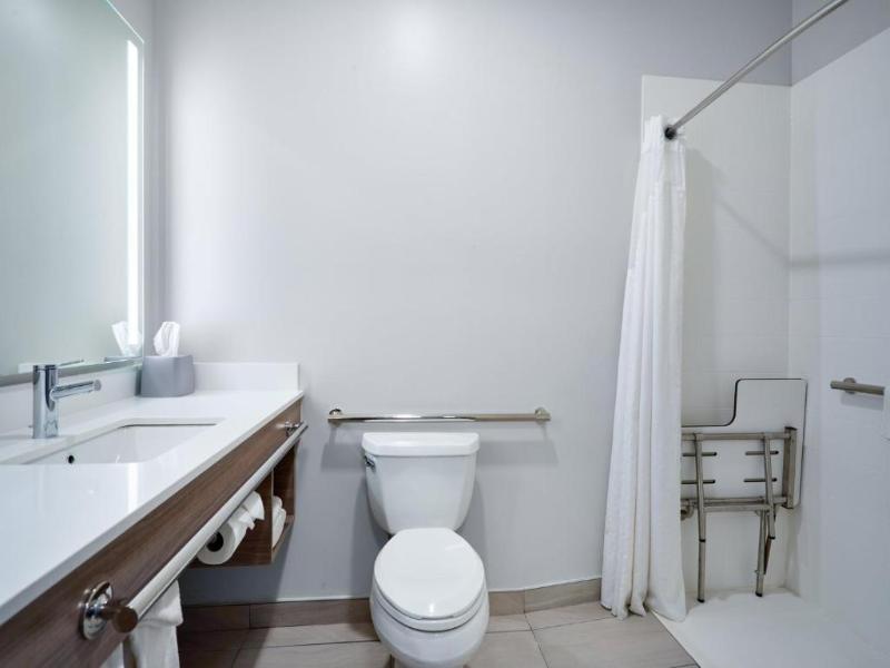 1 King Suite Mobility Accessible