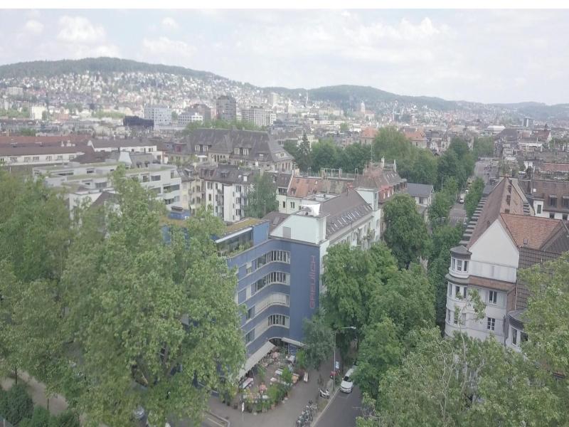 Greulich image